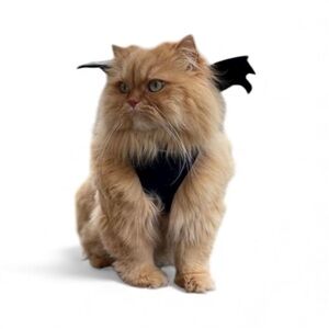 Pup crew Pet harness with bat wings great for dress up best for a smaller pet